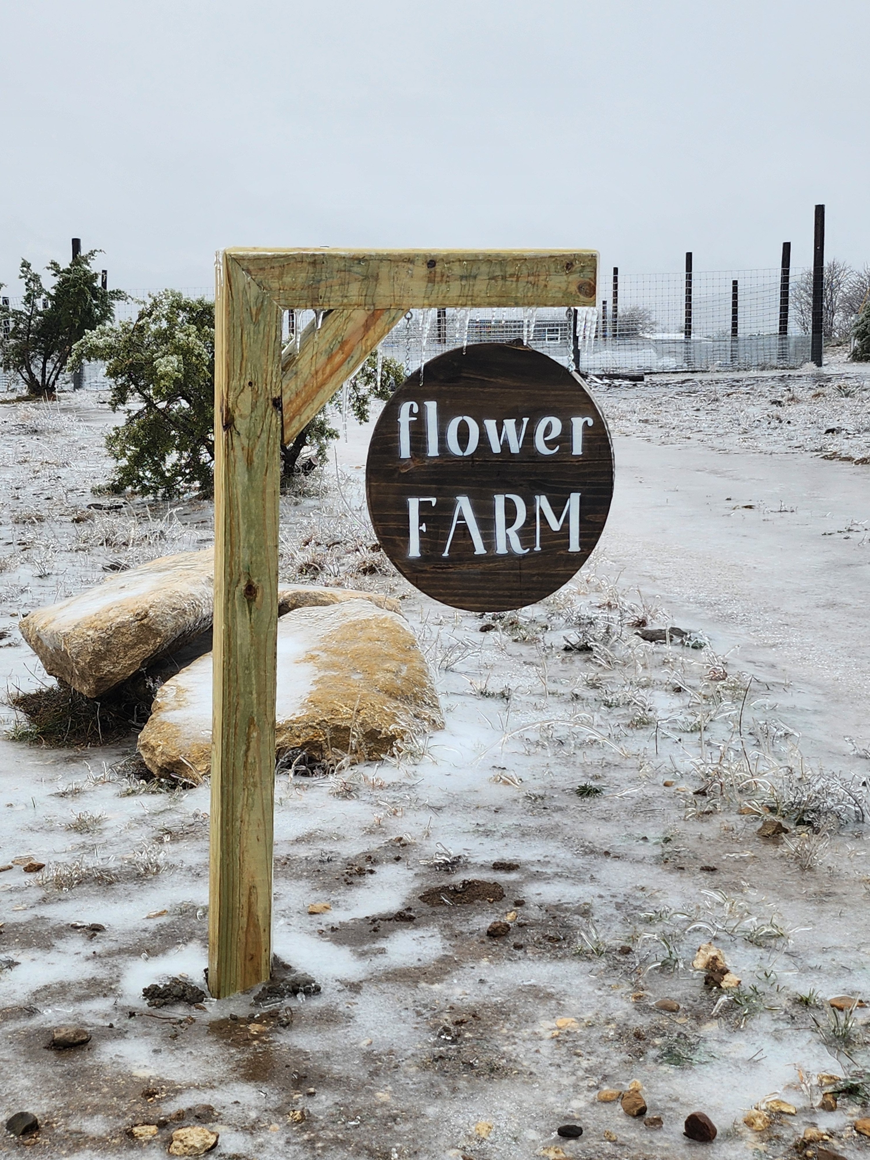 6 tips for protecting your garden from a freeze (3 min read)
