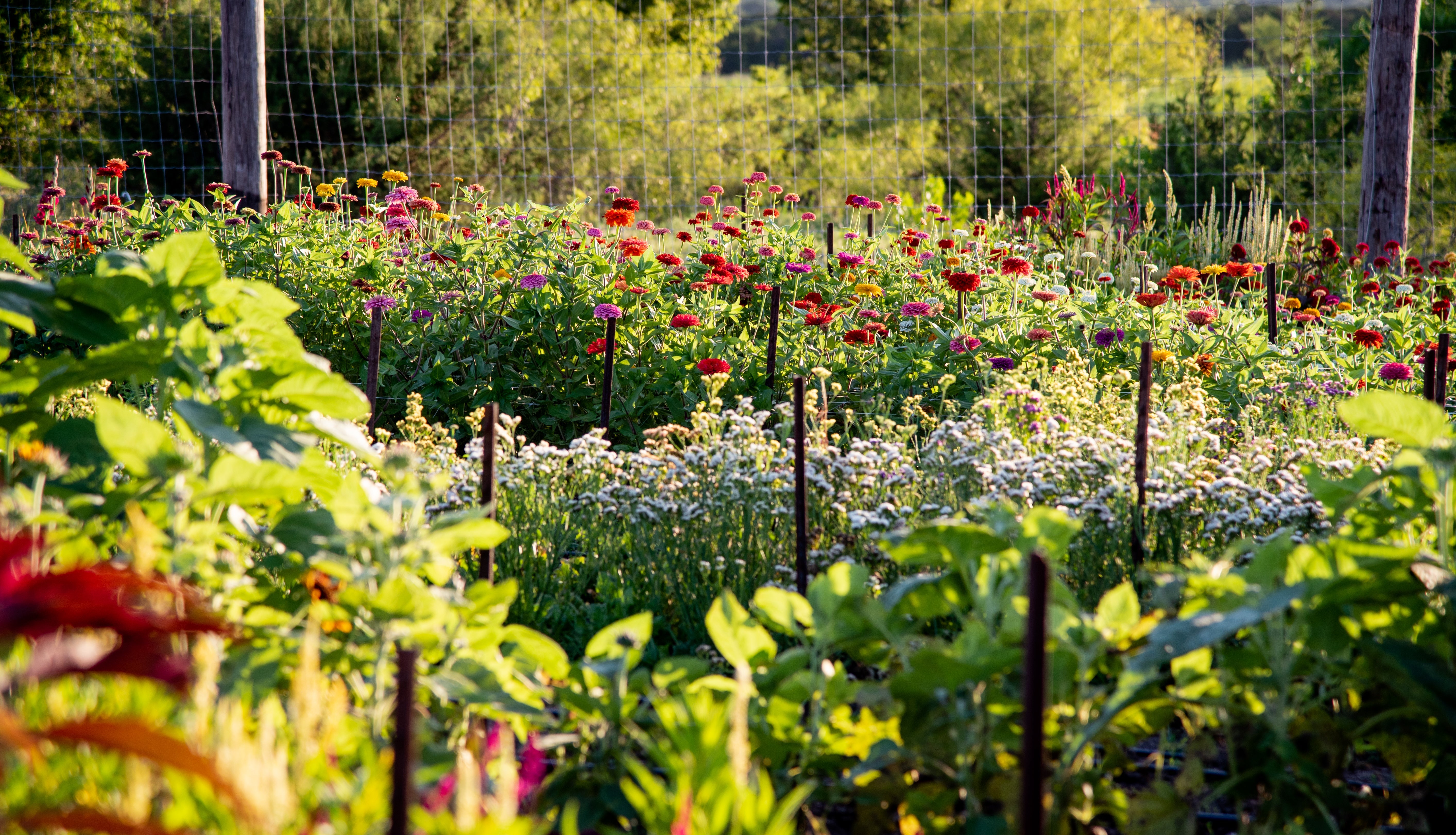 What's the hype about Rainwater? (1 min read)