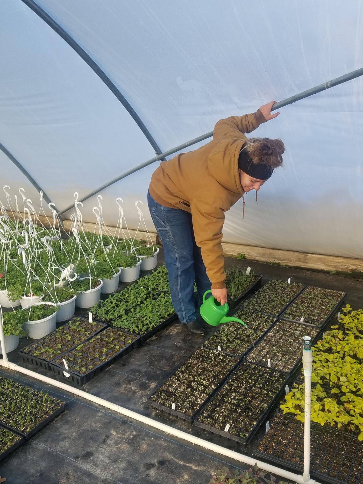 The Process of Starting your own Flowers from Seed