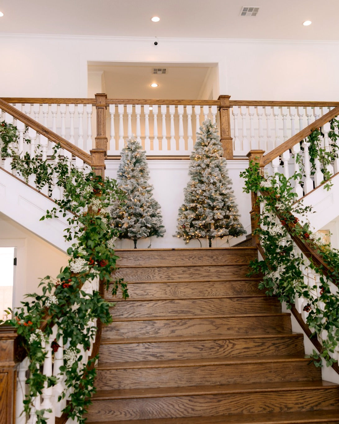 White Rose and Baby’s Breath Study — The Springs, Rockwall