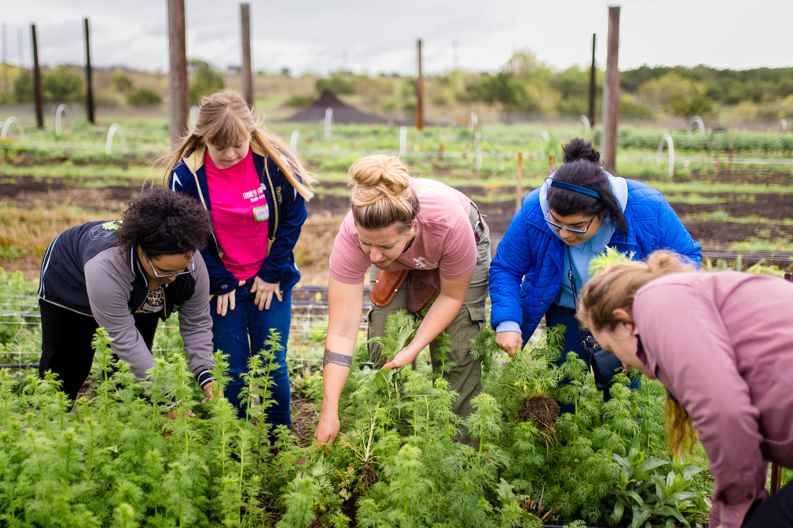 B. Blumen Flower Farm in Godley, Texas BBlumenFlowerFarm