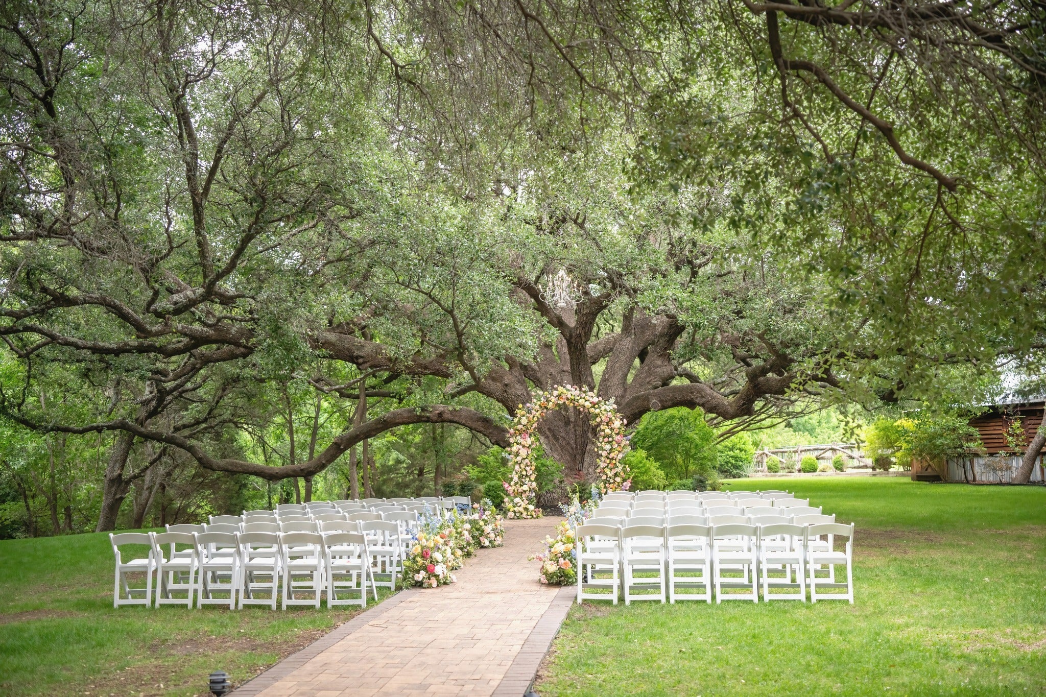 Outdoor wedding setup with white chairs and floral arch under a large tree.