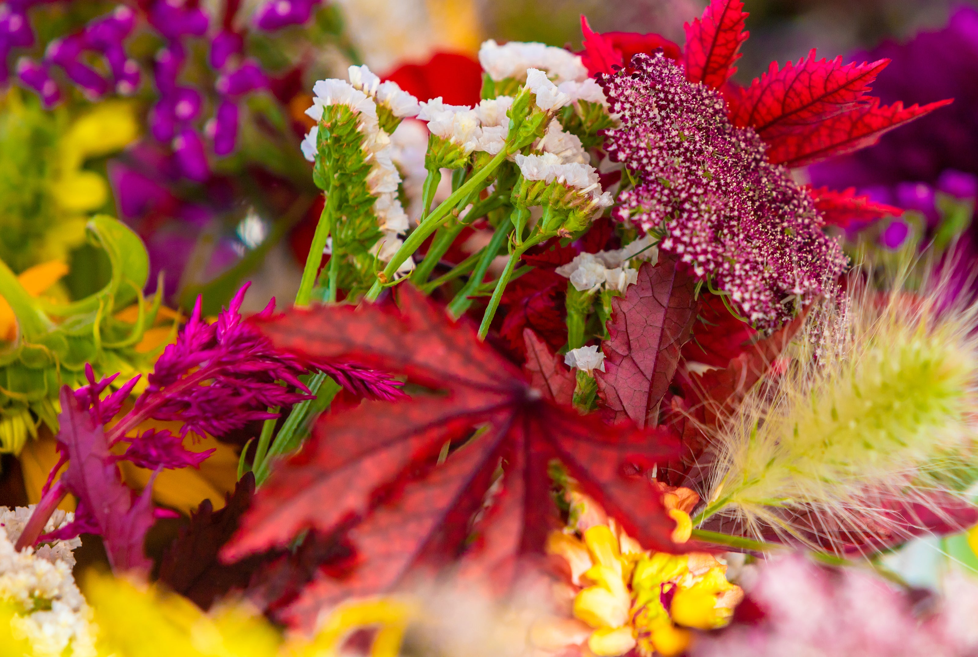 Mixed Flowers 